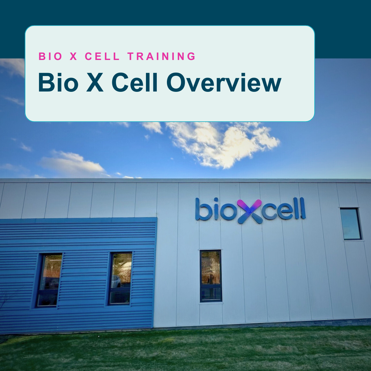 All courses | Bio X Cell LMS
