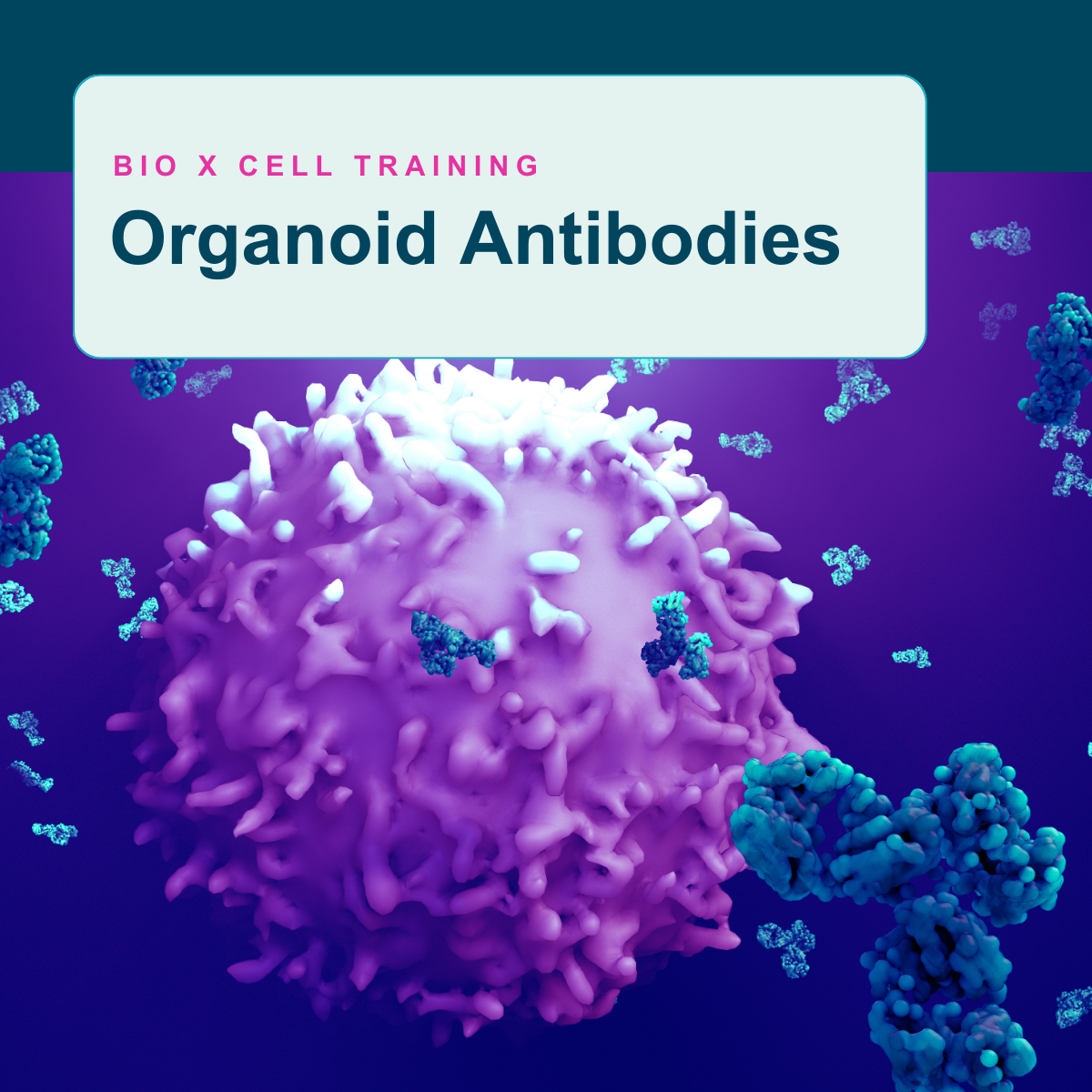All courses | Bio X Cell LMS